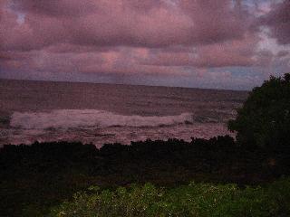 submitted by SharonH