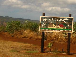 submitted by SharonH