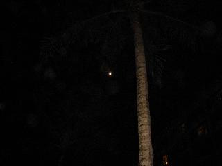 submitted by SharonH