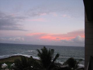 submitted by SharonH