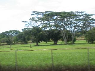 submitted by SharonH