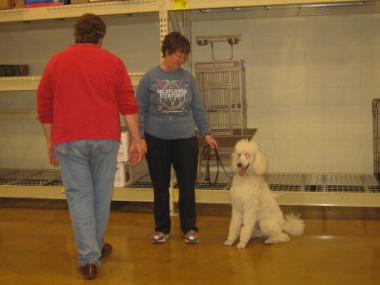 photograph by Russell Holder