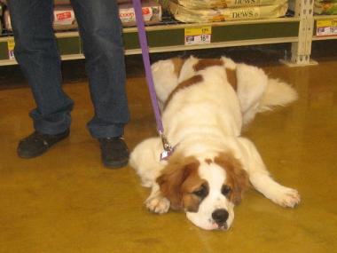 photograph by Russell Holder