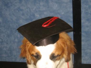 photograph by Russell Holder