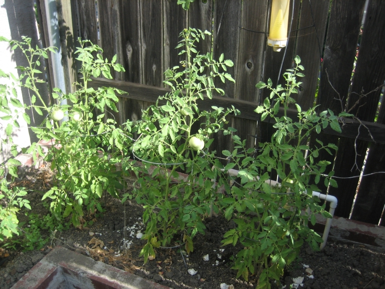 photograph by Russell Holder