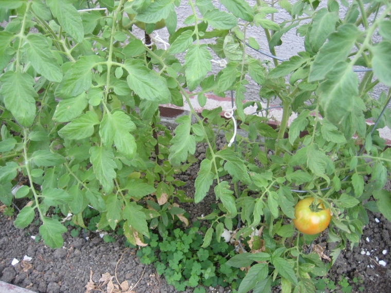 photograph by Russell Holder