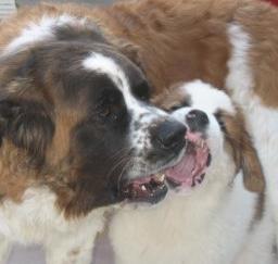 09MAR13: 'Penny' month 2 in West Sac 09MAR13: 'Penny' month 2 in West Sac