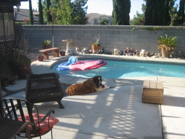 photograph by Russell Holder