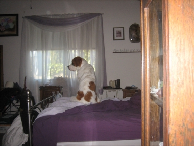 photograph by Russell Holder