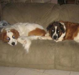 09SEP13: 'Penny' month 8 in West Sac 09SEP13: 'Penny' month 8 in West Sac