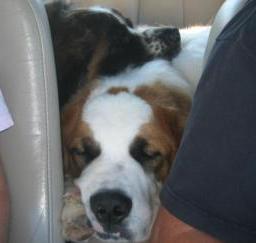 09OCT13...: 'Penny' month 9 in West Sac 09OCT13...: 'Penny' month 9 in West Sac