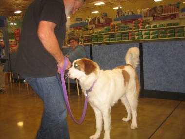 photograph by Russell Holder