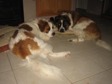 photograph by Russell Holder